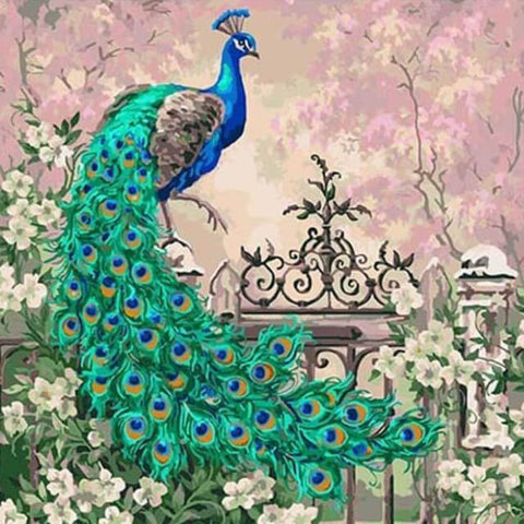 Image of Peacock - DIY Painting By Numbers