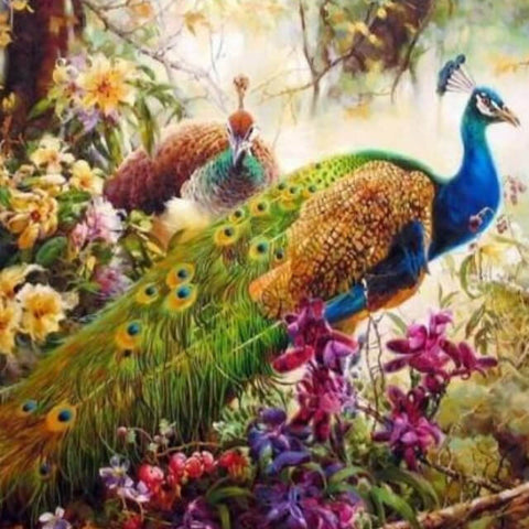 Peacock  - DIY Painting By Numbers animal
