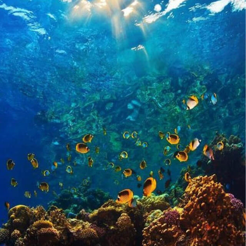 Image of Underwater World-  DIY Painting By Numbers