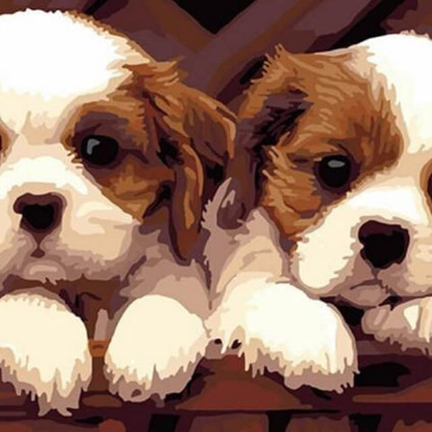 Image of Two Puppies -  DIY Painting By Numbers