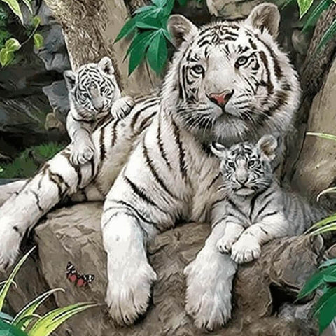 Image of Tigers Family in the Wood - DIY Paint By Numbers