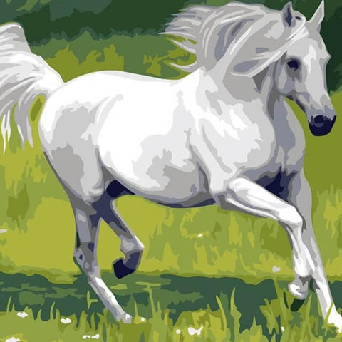 Image of White Horse - DIY Painting By Numbers
