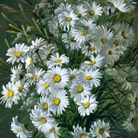 White Flowers - DIY Digital Painting By Numbers
