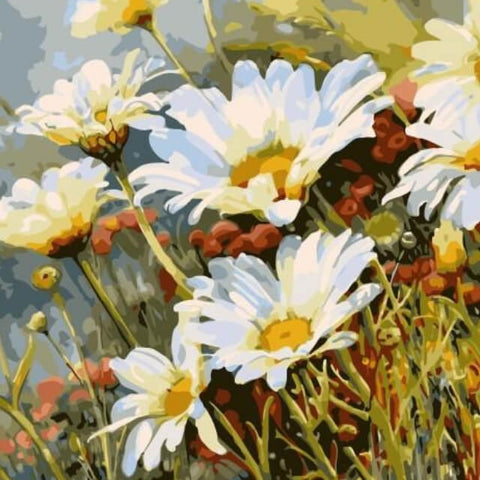 Image of White Chrysanthemum Flowers  - DIY Digital Painting By Numbers