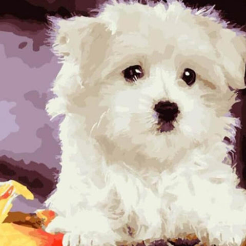 Image of White Dog - DIY Painting By Numbers