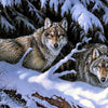 Wolves in the Snow-  DIY Painting By Numbers