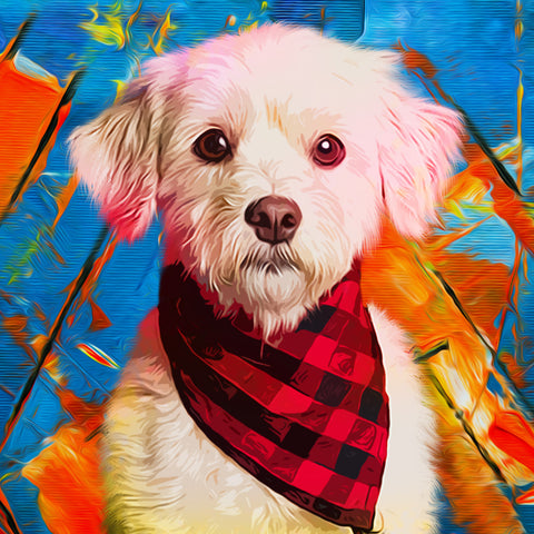 Image of Sweet Dog With A Red Bandana - DIY Diamond Painting