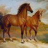 Horse in the Nature - DIY Painting By Numbers