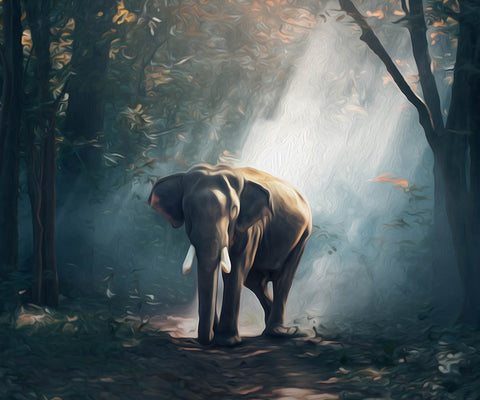 Image of Stunning Elephant - DIY Diamond Painting
