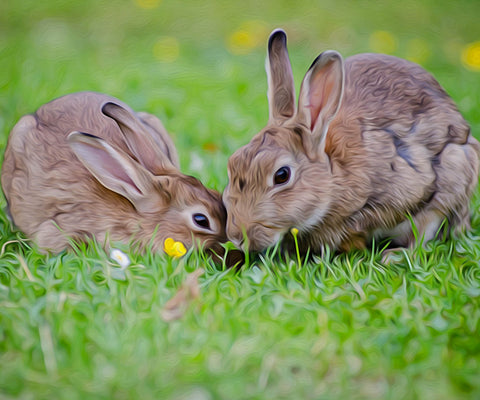 Image of Playing Rabbit - DIY Diamond Painting