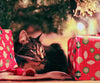 Cat with a Christmas Presents - DIY Diamond Painting