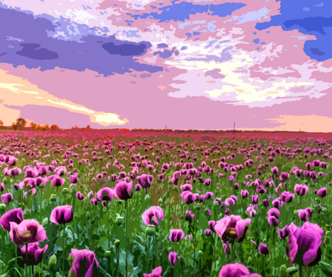 Image of Purple Rose Field - DIY Diamond Painting