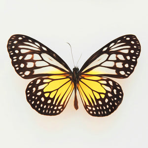 Glowing Yellow Butterfly - DIY Diamond Painting