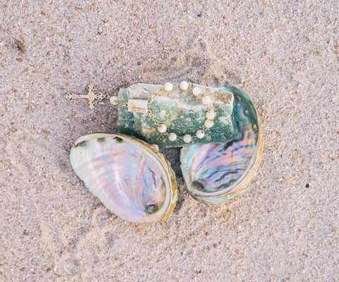 Image of Sea Shells - DIY Diamond  Painting