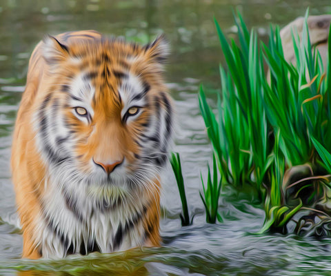 Image of Tiger in the Lake - DIY Diamond Painting