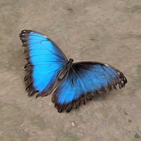 Image of Glowing Blue Butterfly - DIY Diamond Painting