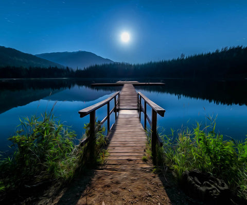 Image of Moon View by the Lake - DIY Diamond Painting