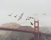 Birds Over the Bridge - DIY Diamond Painting