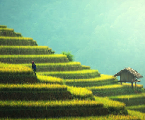 Image of Rice Terraces - DIY Diamond Painting