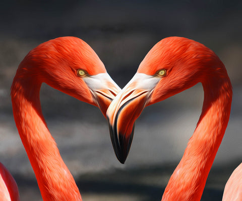 Image of Flamingo Love - DIY Diamond Painting