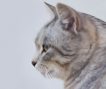 Cute Cat - DIY Diamond Painting