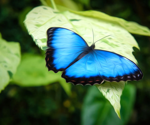 Image of Neon Blue Butterfly - DIY Diamond Painting