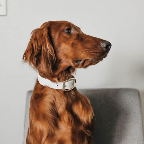 Image of Pretty Shiny Brown Dog - DIY Diamond Painting