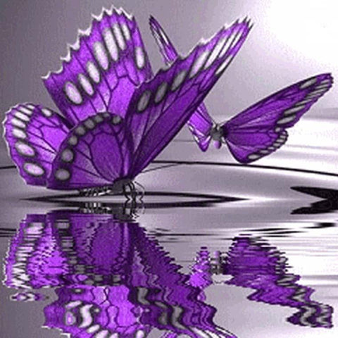 Image of Purple Butterfly - DIY Diamond  Painting