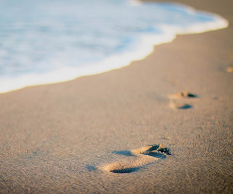 Diamond Dotz Footprints in the Sand Diamond Painting