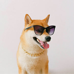 Cool Shiba Inu - DIY Diamond Painting