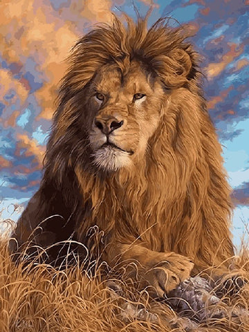 Image of Lion in the Nature - DIY Painting By Numbers