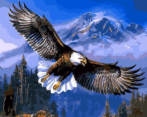 Image of Flying Eagle - DIY Painting By Numbers