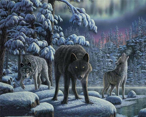 Wolves-  DIY Painting By Numbers