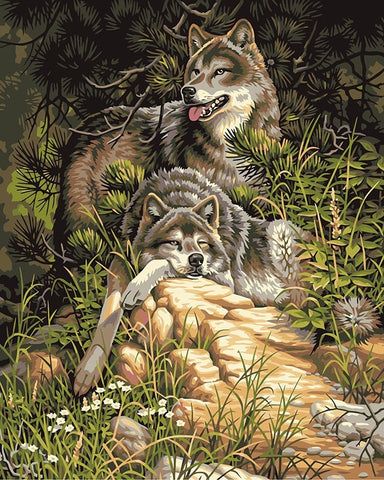 Image of Wolves - DIY Painting By Numbers