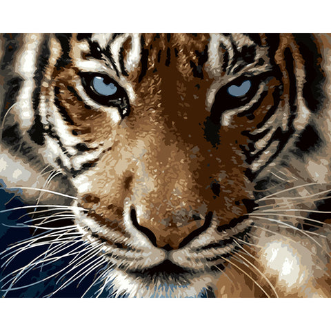 Image of Tiger Face -DIY Painting By Numbers