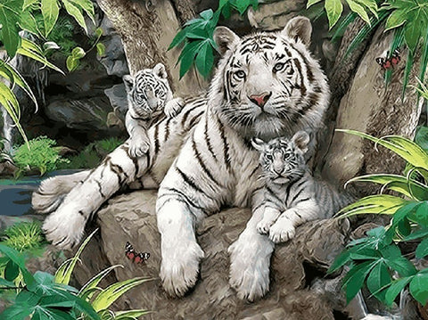 Image of Tigers Family in the Wood - DIY Paint By Numbers