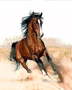 Running Horse - DIY Painting By Numbers