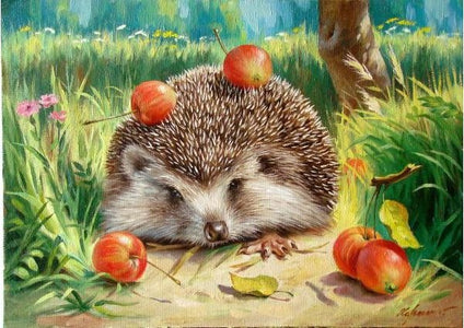 Hedgehog - DIY Painting By Numbers