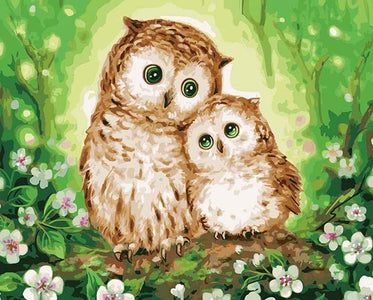 Owl Lovers - DIY Painting By Numbers