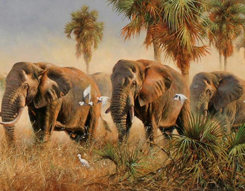 Image of Elephants in the Nature - DIY Painting By Numbers