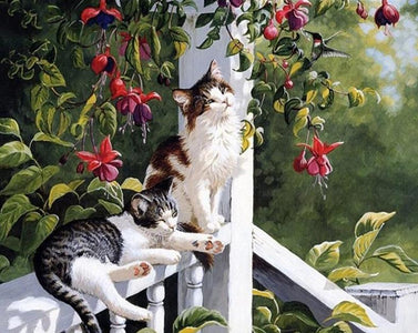 Cats on the Balcony - DIY Painting By Numbers