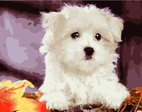 Image of White Dog - DIY Painting By Numbers