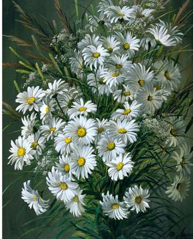White Flowers - DIY Digital Painting By Numbers