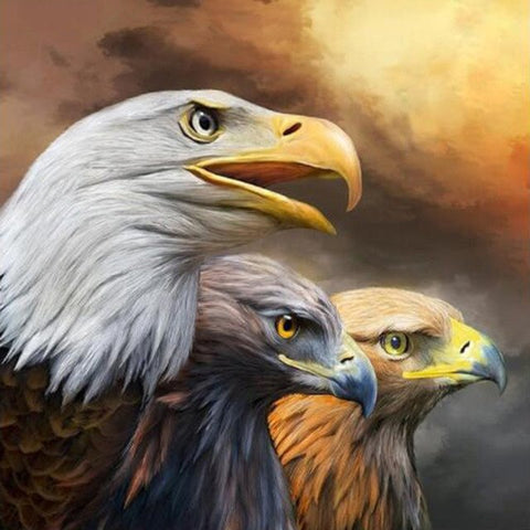 Image of Eagles - DIY Diamond  Painting