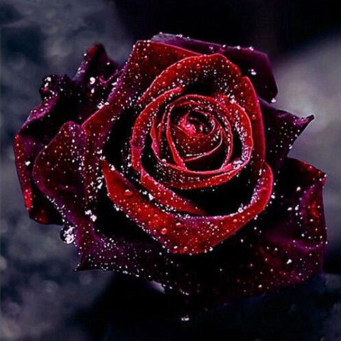 Image of Bloody Red Rose - DIY Diamond Painting