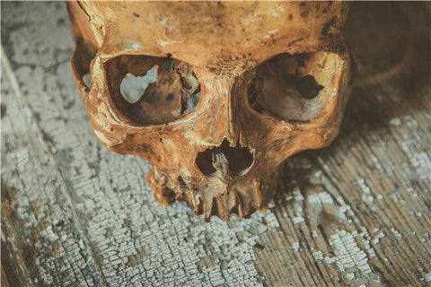 Image of Halloween Skull - DIY Diamond Painting