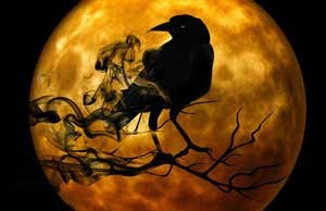 Image of Halloween Crow - DIY Diamond Painting
