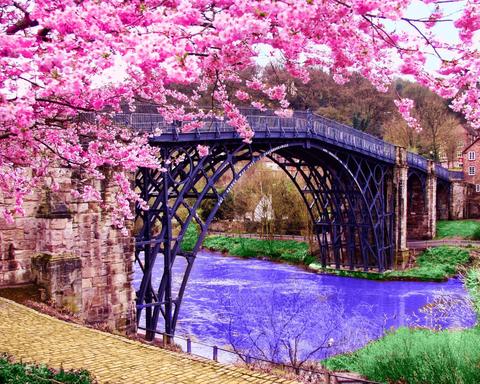 Image of Cherry Blossom Besides Bridge - DIY Diamond Painting