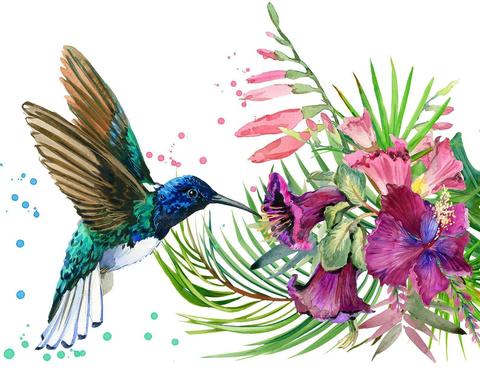 Image of Humming Bird and an Orchid - DIY Diamond Painting