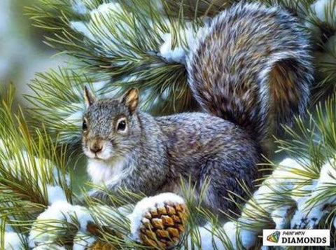 Image of Squirrel - DIY Diamond Painting